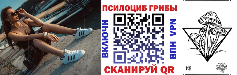 Купить закладки  Улан-Удэ  Псилоцибиновые грибы GOLDEN TEACHER 