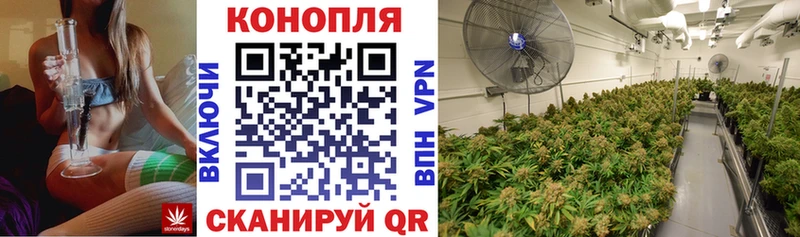 Каннабис индика Улан-Удэ